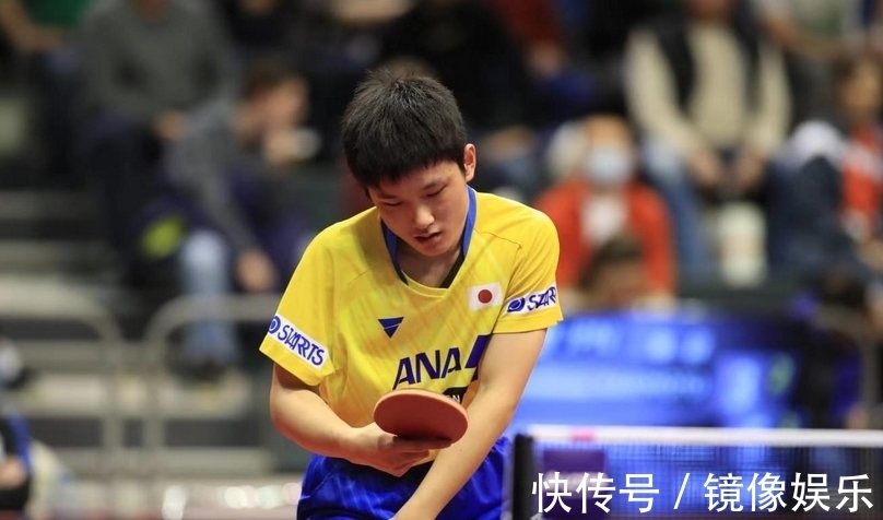 正如斯内德 正如斯内德